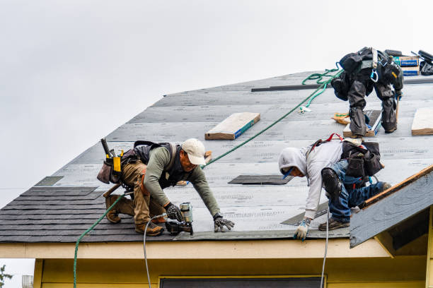 Professional Roofing technician working in Montpelier Station, VA